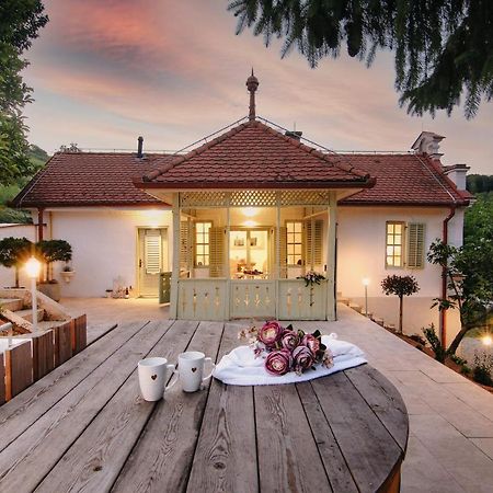 Vila Vilma Vineyard Cottage Лендава Экстерьер фото
