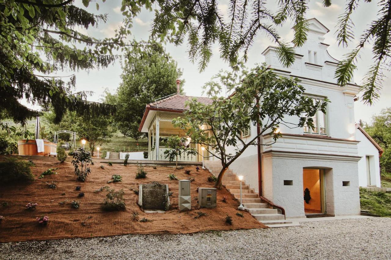 Vila Vilma Vineyard Cottage Лендава Экстерьер фото