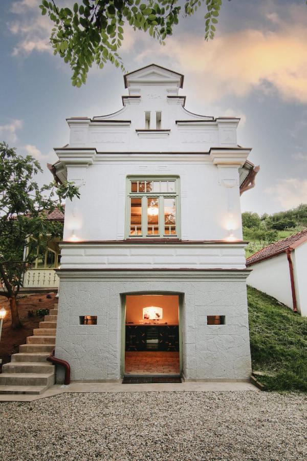 Vila Vilma Vineyard Cottage Лендава Экстерьер фото